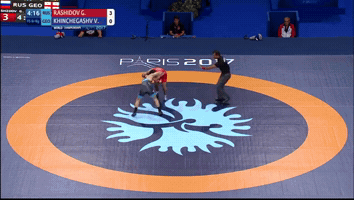 Wrestling GIF