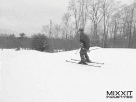 mixxitindustries new big ski park GIF