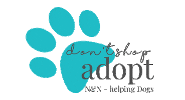 Adoptdontshop Sticker by Nun - helping Dogs