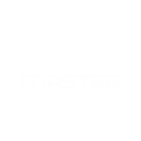 Master Hyundai Sticker