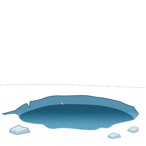 After Effects Freezing Sticker