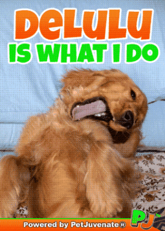 Im Crazy Jelly Roll GIF by PetJuvenate - PJ