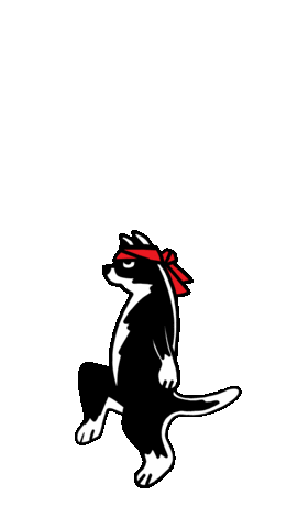 Skate Skateboarding Sticker by Skateboard School Amsterdam