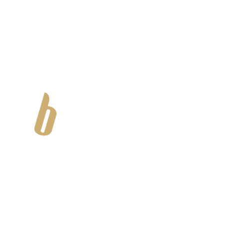 ballguide Sticker