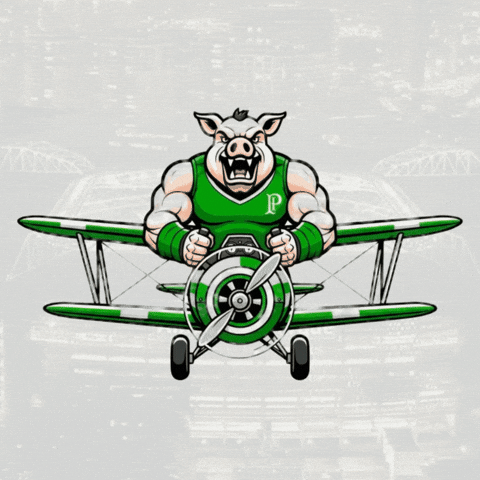 Mogidascruzes GIF by consuladosep.com.br