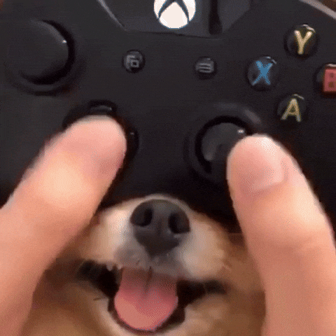 Gamers where art thou