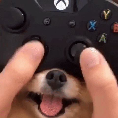 Cute-game GIFs - Get the best GIF on GIPHY