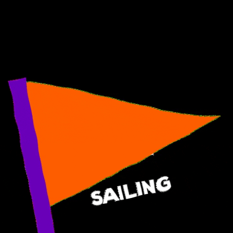zimsailing sailing zim zim sailing c420 GIF