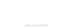 Wow Omg Sticker by NicheBeauty