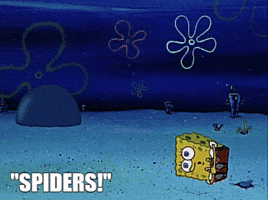 200.gif