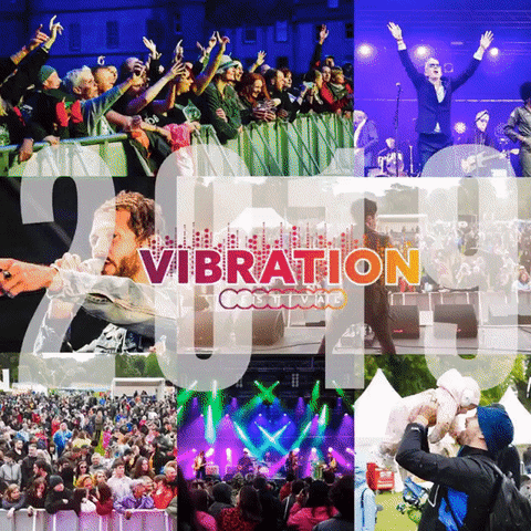 vibrationfestival vibration festival vibrationfestival GIF