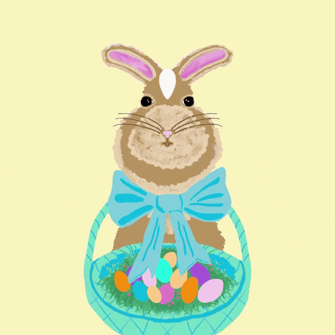 Easter Bunny GIF by Daisy Lemon