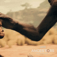 Ancestors Panache GIF by Ancestors: The Humankind Odyssey