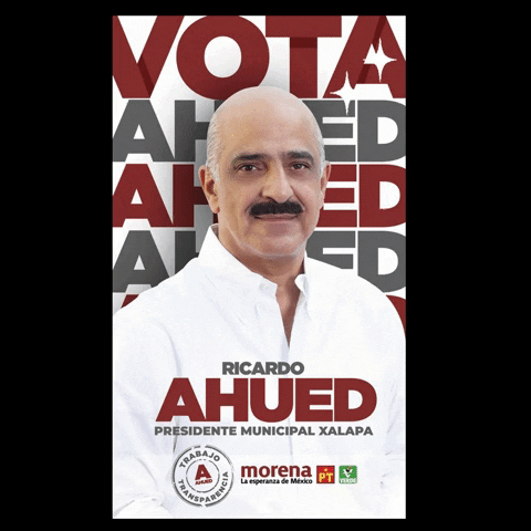 ricardoahuedcandidato GIF