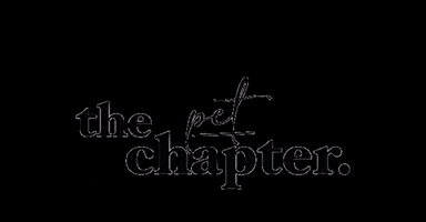 The Chapter. GIF