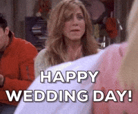 Tanu Weds Manu Gifs Get The Best Gif On Giphy