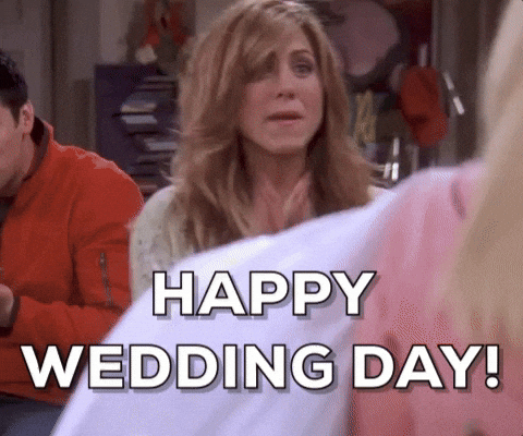 giphy.gif?cid=ecf05e474udb7qss15mf5wahkb67lz9okla8fir5rvmpanu7&rid=giphy.gif