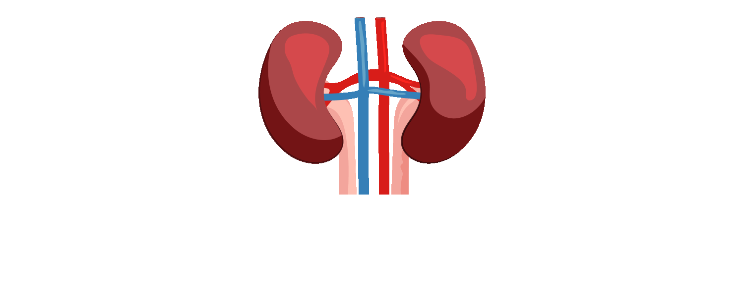 Kidney Prostate Sticker by Neumaier for iOS & Android GIPHY