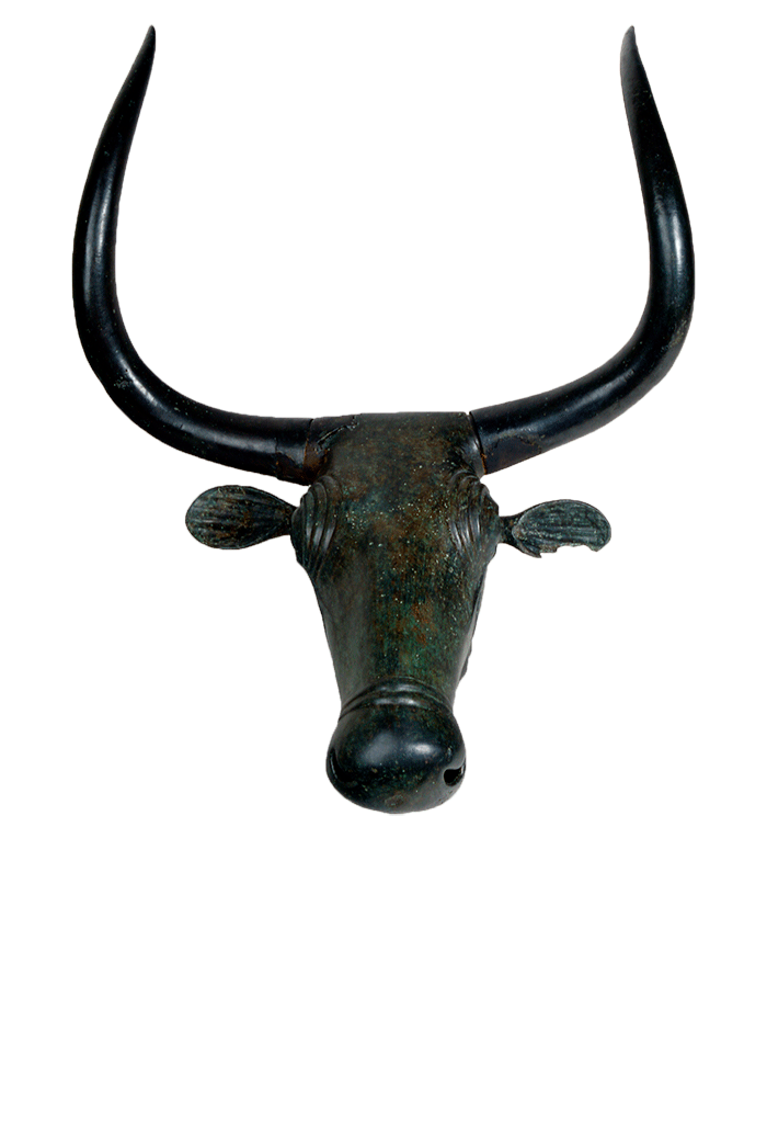 Man Archaeology Sticker by Museo Arqueológico Nacional for iOS