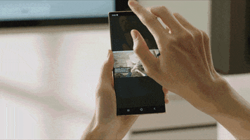 Revu GIF