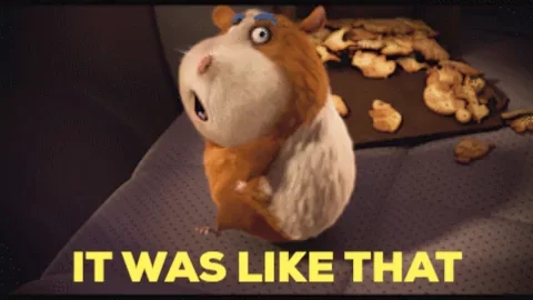 I Didnt Do It John Krasinski GIF by The Animal Crackers Movie