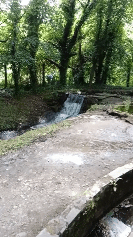Water GIF