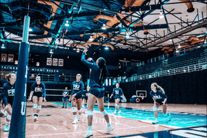 Team Volleyball GIF by FIU