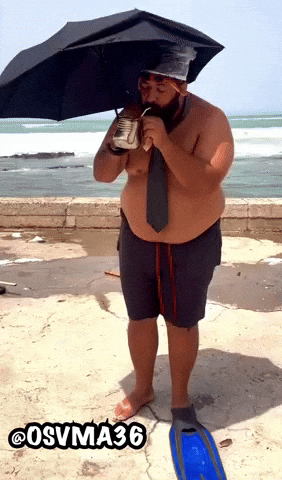 Fat Boy Morocco GIF
