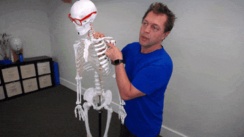 Shoulder Pain GIF