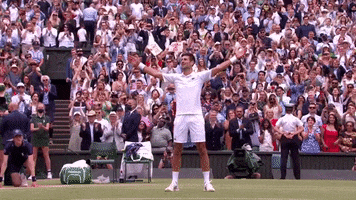 Novak Djokovic Win GIF by Tennis Channel