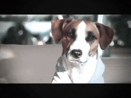 Basil Soda GIF