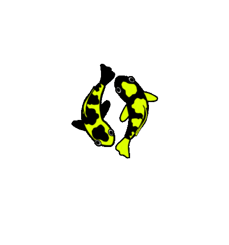 Japan Koi Sticker by Fhabsburg