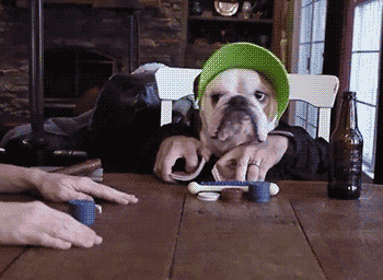 giphy.gif?cid=ecf05e476jm8p8figudny96heg