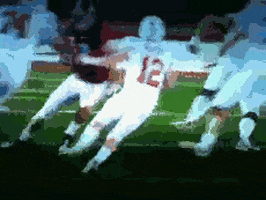 texas longhorns roll tide GIF