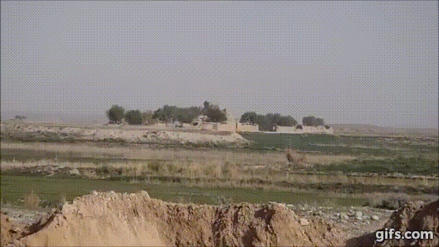 BM