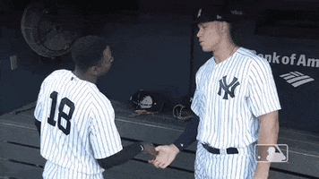 Major League Baseball Yankees 2019 GIF by New York Yankees