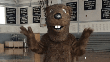beaver idk GIF by Welcome to the BVR Dam