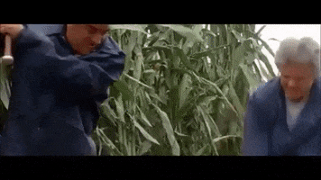 Baseball GIF