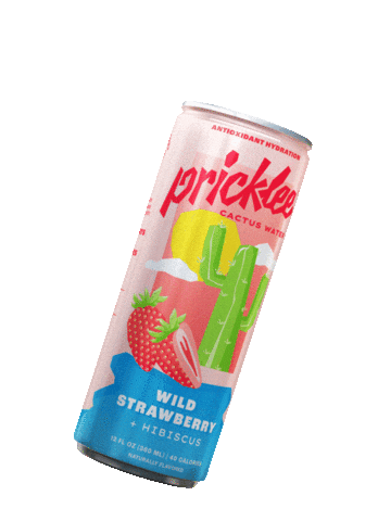 Pricklee Cactus Water Sticker