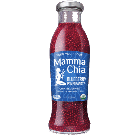 Chia Seeds Blueberry Sticker by Mamma Chia