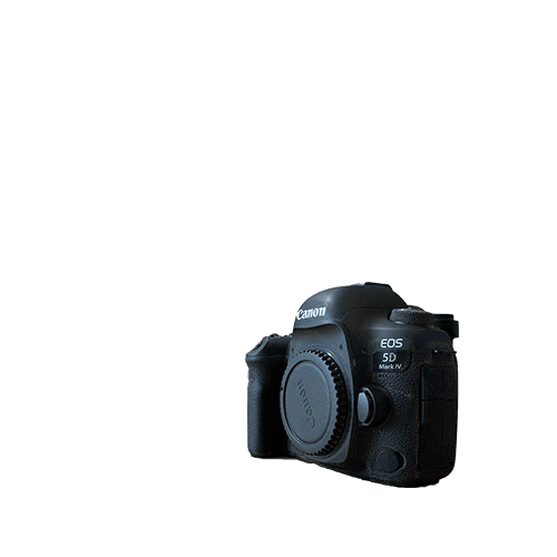 Canon Sticker