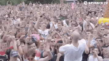 spinninrecords music party dancing festival GIF