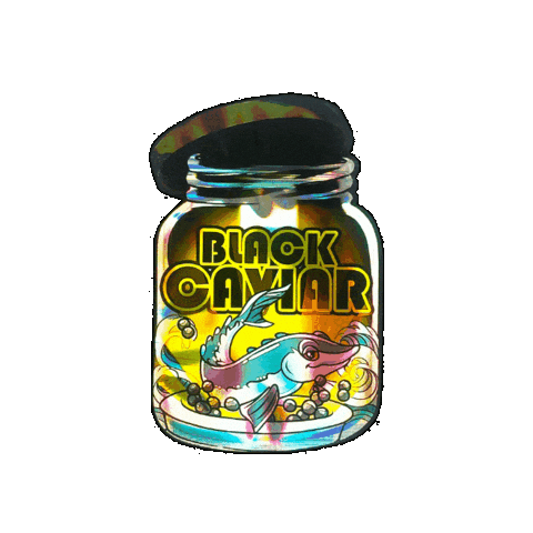 Black Caviar Hfa Sticker by Happy Feelings™ Amsterdam