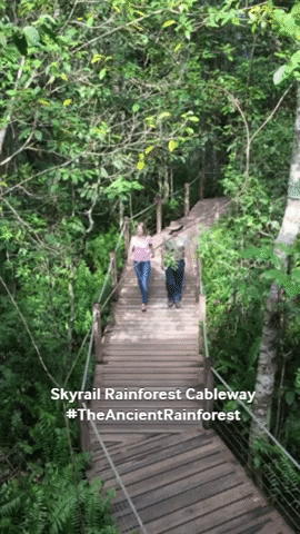 Skyrail Rainforest Cableway GIF