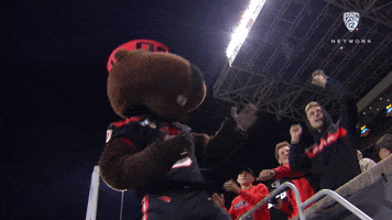 Excited Football GIF by Pac-12 Network