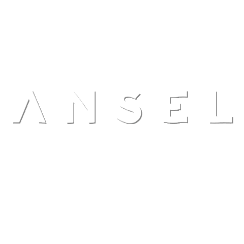 ANSEL Sticker