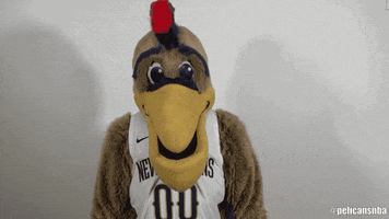 Pierre T. Pelican GIF