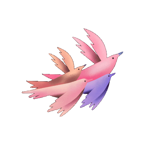 Festival Teresina Sticker by festivalgirasol