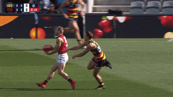 Tom Doedee Hit GIF by Adelaide Crows