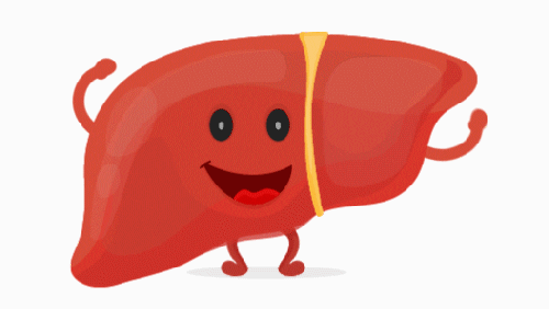 Health body gif by 522 productions - find & share on giphy